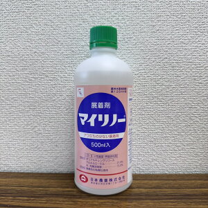 ňl풆 {_ }Cm[ 500ml W _ | K[fjO 