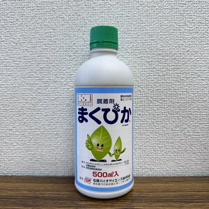 ňl풆 ΌoCITCGX ܂҂ 500ml W _ | K[fjO 