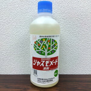 ňl풆 WX[gt܁@500ml@A _ | K[fjO 