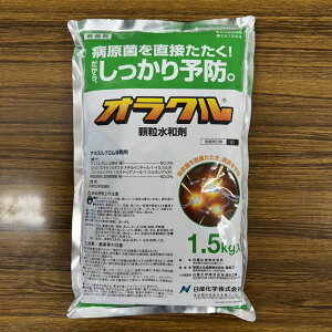 ňl풆 Yw INa 300g 1.5kg a Eۍ _ | K[fjO 