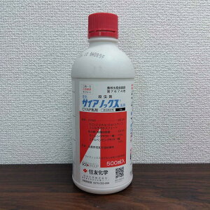 ňl풆 TCAmbNX 500ml E _ | K[fjO 