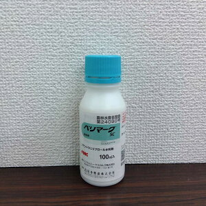 ňl풆 x}[NSC 100ml E _ | K[fjO 