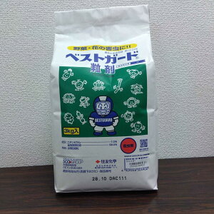 ňl풆 xXgK[h 3kg E _ | K[fjO 