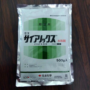 ňl풆 TCAmbNXa 500g E _ | K[fjO 