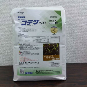 yVX[p[SALE RecxCg 2kg E _ | K[fjO 