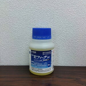 ňl풆 ZtB[iDC 250ml E _ | K[fjO 