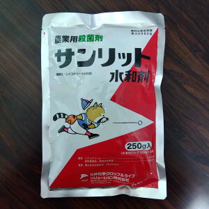 ňl풆 Tbga 250g Eۍ _ | K[fjO 