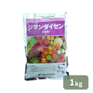 ňl풆 Yw W}_CZa 250g 500g 1kg a Eۍ _ 񂫂 ݂ ܂˂  ΂ꂢ Ă񂳂 | K[fjO 
