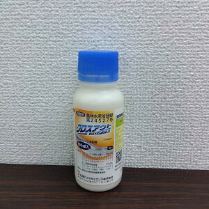 ňl풆 NXAEgtAu 100ml Eۍ _ | K[fjO 