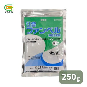 ňl풆 {B t@xa 250g a Eۍ _ DFѕa tѕa ǂ񂱕a ۊja | K[fjO 