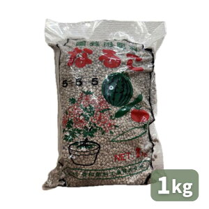 yVX[p[SALE a엿H Ȃ邱L@ 5-5-5 1kg 엿 ƒ؉ | K[fjO 