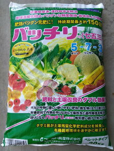 ňl풆 S[hY ob`܎O 5-7-3 ybg 20kg 엿  ƒ؉ | K[fjO 