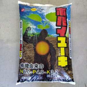 ňl풆 |pC[L 20kg  엿 ͔   ƒ؉ | K[fjO 