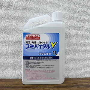 yVX[p[SALE Z_Ǝ X~oC^V 1L A 엿 ƒ؉ | K[fjO 