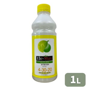 yVX[p[SALE t@CgN[ G}bNX  4-30-20 1L t 엿 ƒ؉ | K[fjO 