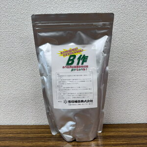 ňl풆 c B 1kg zEf 엿 ƒ؉ | K[fjO 