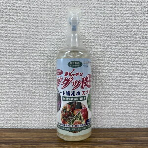 ňl풆 S[hY OObgL[g_fXv[ 500ml A͍ 엿 ƒ؉ | K[fjO 