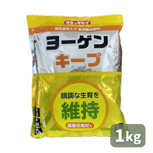 �ň��l���풆 �^�L�C ���[�Q���L�[�v 1kg �엿 �ƒ�؉� ���| �K�[�f�j���O ��������