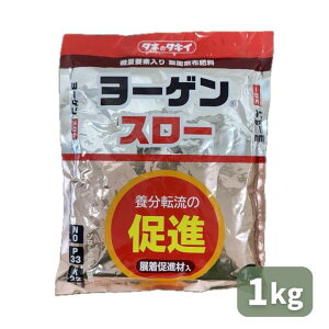 �ň��l���풆 �^�L�C ���[�Q���X���[ 1kg �엿 �ƒ�؉� ���| �K�[�f�j���O ��������