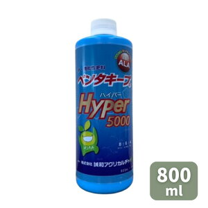yVX[p[SALE aAOJ`[ y^L[v nCp[5000 100ml 800ml t 엿 ƒ؉ | K[fjO 