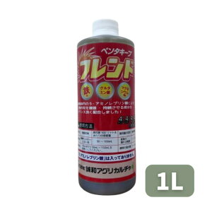 yVX[p[SALE aAOJ`[ y^L[v th 1000ml t 엿 ƒ؉ | K[fjO 