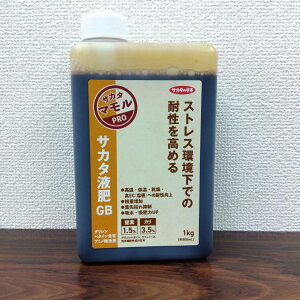 �ň��l���풆 �T�J�^�t��GB�@1kg�@�엿 �t�� �ƒ�؉� ���| �K�[�f�j���O ��������