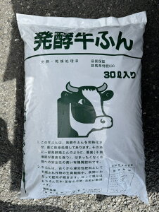 ňl풆 nӂ 30L 엿  ƒ؉ | K[fjO 