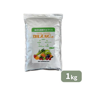 ňl풆 T[ JXNC-R  1kg 엿 ƒ؉ | K[fjO 