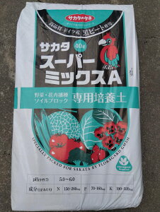 ňl풆 TJ^ X[p[~bNXA 40L ԙ c ܂ |y  ƒ؉ | K[fjO 