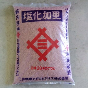 ňl풆  20kg  엿   ƒ؉ | K[fjO 