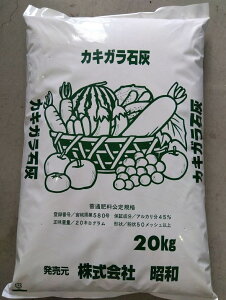 yVX[p[SALE a JLKΊD  20kg ΊD 엿  ƒ؉ | K[fjO 