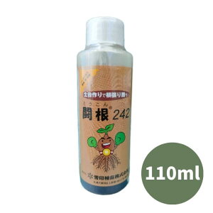 ňl풆 242 110g t̔엿 엿 c ϗtA ƒ؉ | K[fjO 