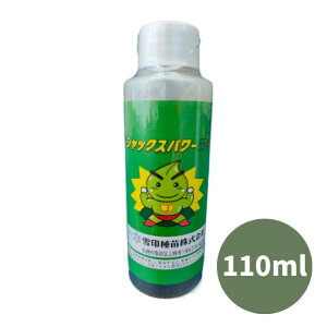 ňl풆 WbNXp[554 110g t̔엿 엿  ʍؗ ϗtA  ƒ؉ | K[fjO 