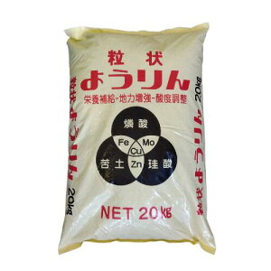 ňl풆 悤  20kg  ƒ؉ | K[fjO 