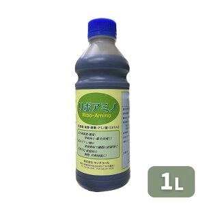 ňl풆 LOR[ {A~m 100ml 1L t̔엿 엿 A~m_  ƒ؉ | K[fjO 