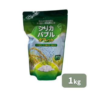 ňl풆 V[AC}ebNX VJou 1kg C엿 엿 PC_ NG_  ƒ؉ | K[fjO 