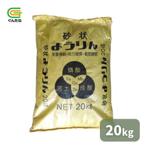 �ň��l���풆�悤��� ���� 20kg �����_ ��y �P�C�_ �h�{�⋋ �n�͑��� �_�x���� ��� �ƒ�؉� ���| �K�[�f�j���O ��������
