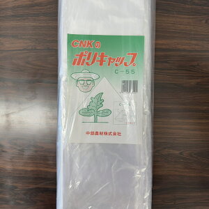 ňl풆 _ |Lbv C-55 100 ƒ؉ | K[fjO 