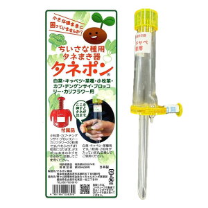 ňl풆 ^l| Ȏp ^l܂   ƒ؉ | K[fjO 