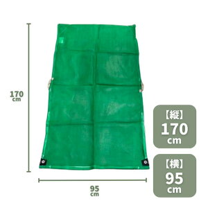 ňl풆 VZC bV ~K ݂ k  170cm×95cm 1 ƒ؉ | K[fjO 