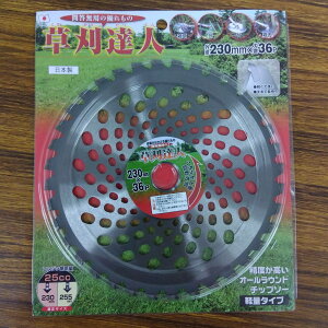 ňl풆 `bv\[ Bl yʃ^Cv 230mm×36P ƒ؉ | K[fjO 