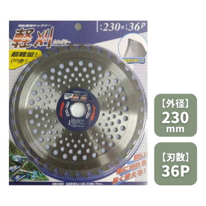 yVX[p[SALE ACEbh y JK[ @p `bv\[ 230mm×36P 255mm×40P ƒ؉ | K[fjO 