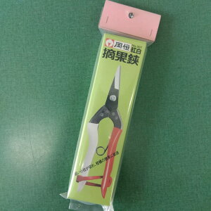 ňl풆 P E No.307 g  ƒ؉ | K[fjO 