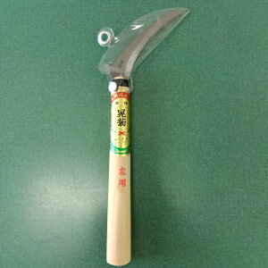 yVX[p[SALE We zE\E p ƒ؉ | K[fjO 