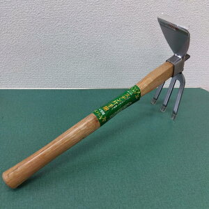 ňl풆 ܘY XeЎL CJ^ ƒ؉ | K[fjO 