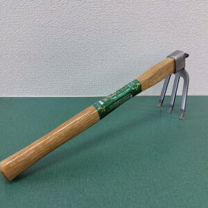 ňl풆 ܘY XeЎL O{L ƒ؉ | K[fjO 