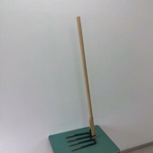 ňl풆 i Ŏl{܌L\ ƒ؉ | K[fjO 