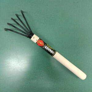 ňl풆 DǕi EҌF ƒ؉ | K[fjO 