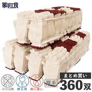 ȌR  360o mdʁF12o750gn  R 5{҂ ^ 100 Mɋ s w@ۂȕɂ t ^ d SH z D @B qɓ ^ ^ @l ܂