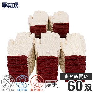 ȌR  60o mdʁF12o750gn  R 5{҂ ^ 100 Mɋ s w@ۂȕɂ t ^ d SH z D @B qɓ ^ ^ @l ܂